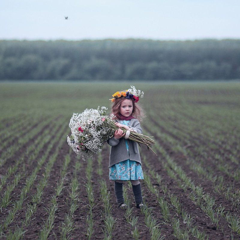 В полеphoto preview