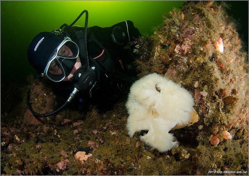 Автопортрет в \