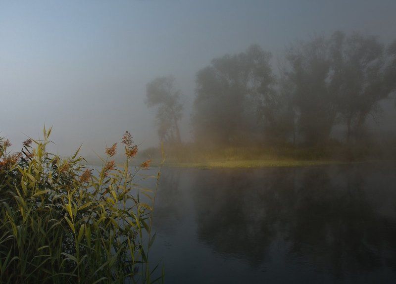 Первый лучphoto preview