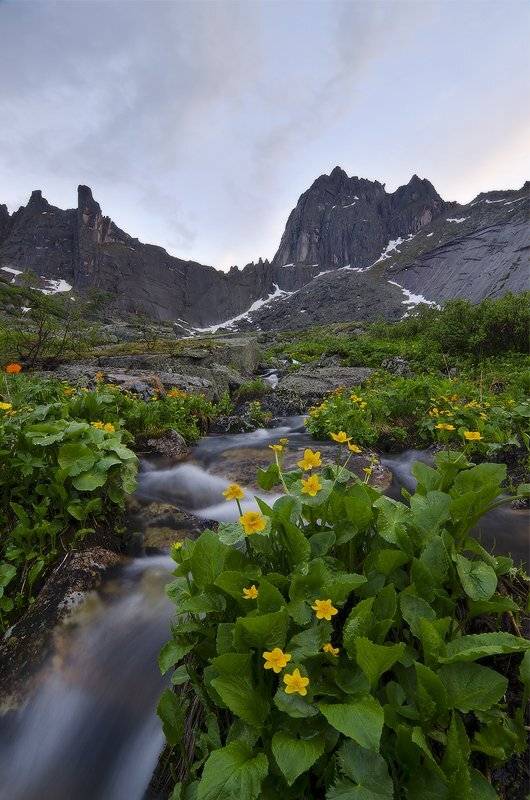 вечером после дождя. Автор: Юсупов Александр Ергаки, Юсупов Александр