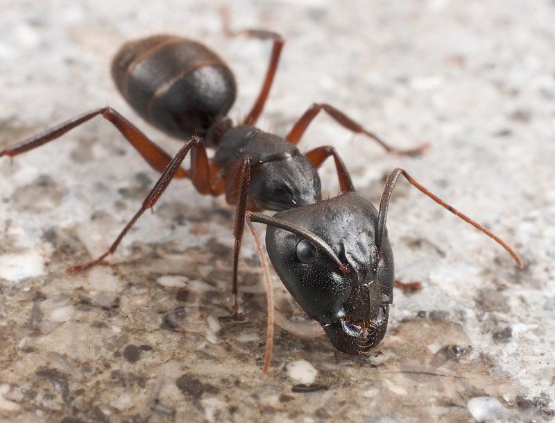 Жажда!photo preview