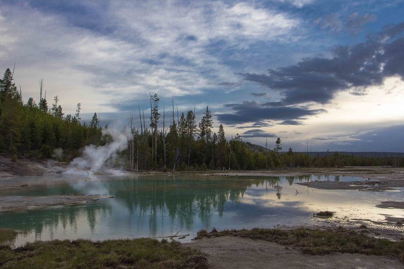 hot springs, norris area, porcelain pool, steam, yellowstone ***photo preview