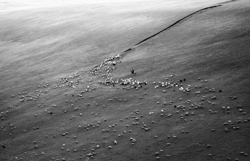 Считалочкаphoto preview