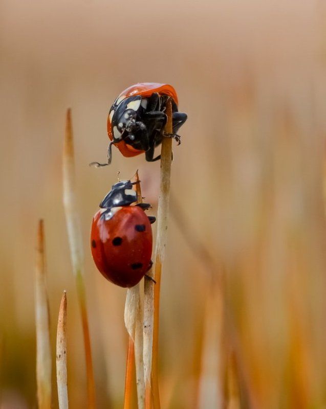 Ой где был я вчера...photo preview