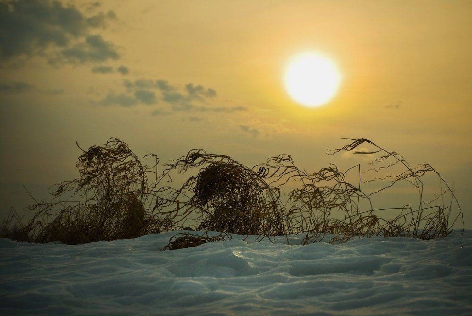 , Дмитрий Алексеев