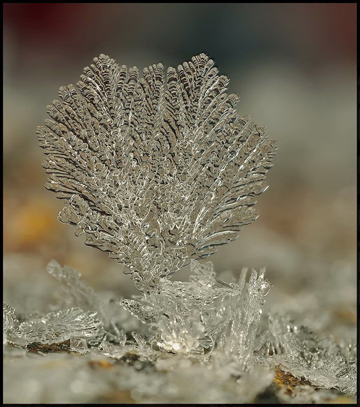 Водопадная внешность...photo preview