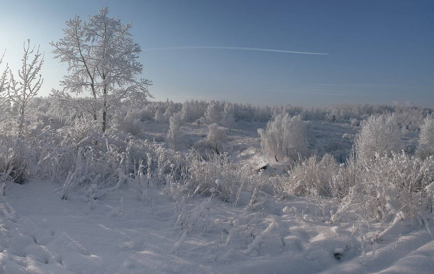И белый самолет.... Автор: Гелена Гленкова , Гелена Гленкова