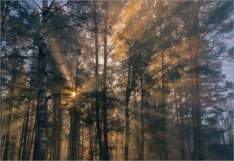 День парк Солнечный день...photo preview