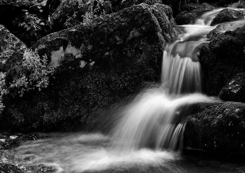 Acqua, Cascate, Mosso, Natura, Roccia, Torrente, Vegetazione Sottoboscophoto preview