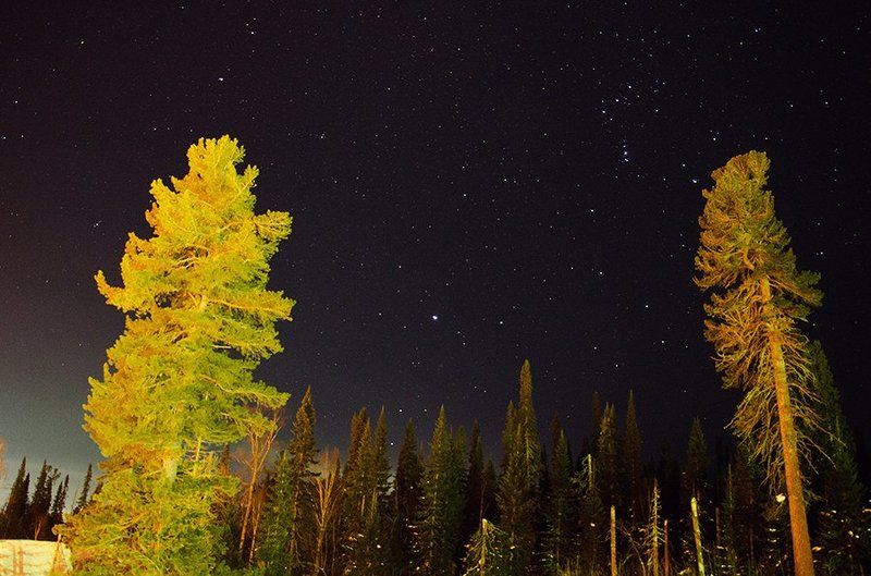 Atmospheric, Forest, Great, Green, Night, Russia, Sky, Stars, Winter, Звезды, Зима, Лес, Небо, Ночное небо, Ночной пейзаж, Путешествие, Россия, Шерегеш Звездное небо Шерегешаphoto preview