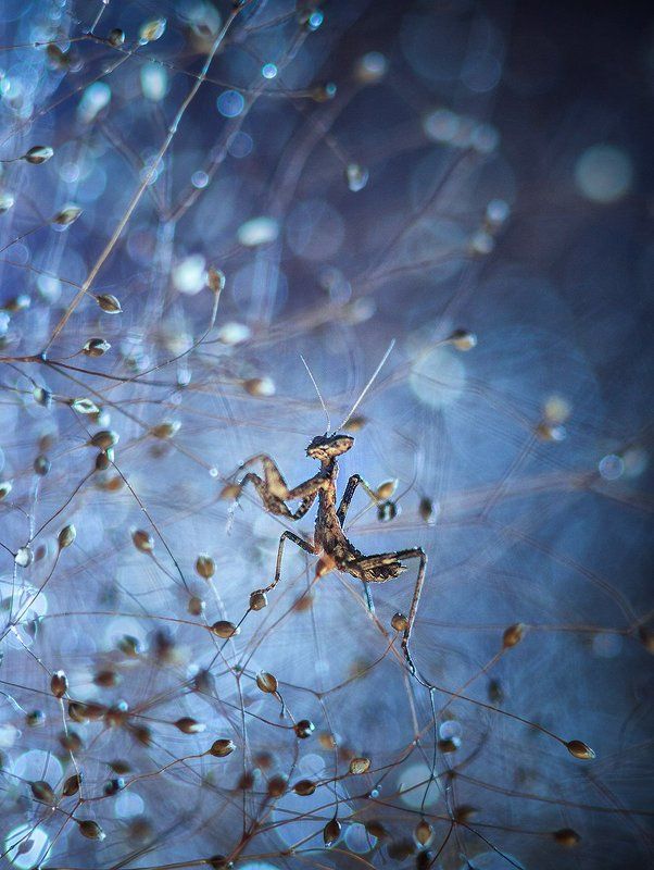 Февраль.photo preview