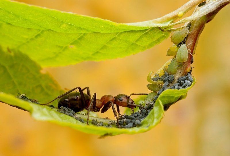 pod jednym dachemphoto preview