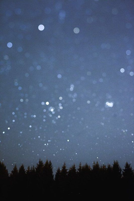 Ts-e45mm, Елки, Ночь ...photo preview