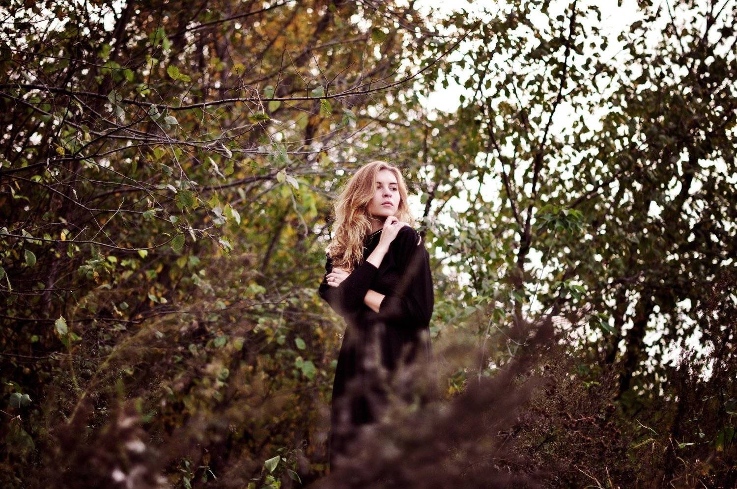 Автор: Львова Дарья , Львова Дарья