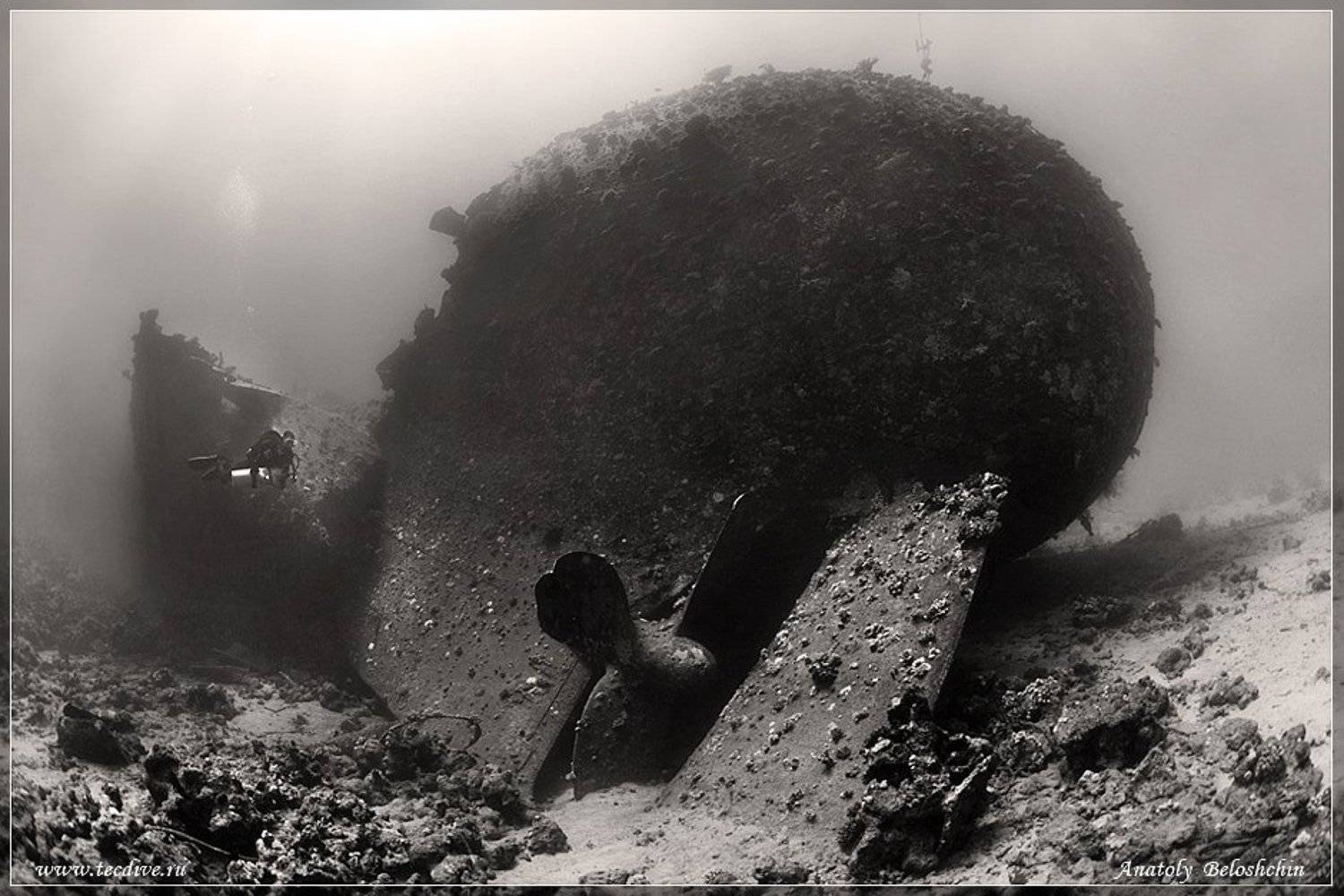 Abu Huhas, Chrisoula K, Marcus, Анатолий Белощин, Анатолий Белощин