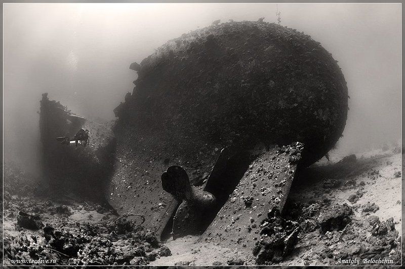 Abu Huhas, Chrisoula K, Marcus, Анатолий Белощин Chrisoula K (Marcus) (затонувший корабль)photo preview