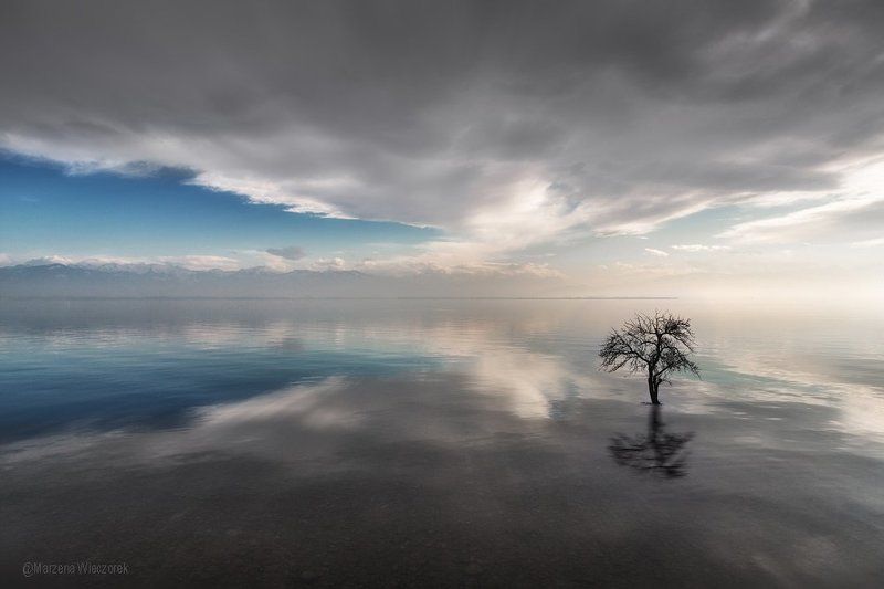 Lonelinessphoto preview