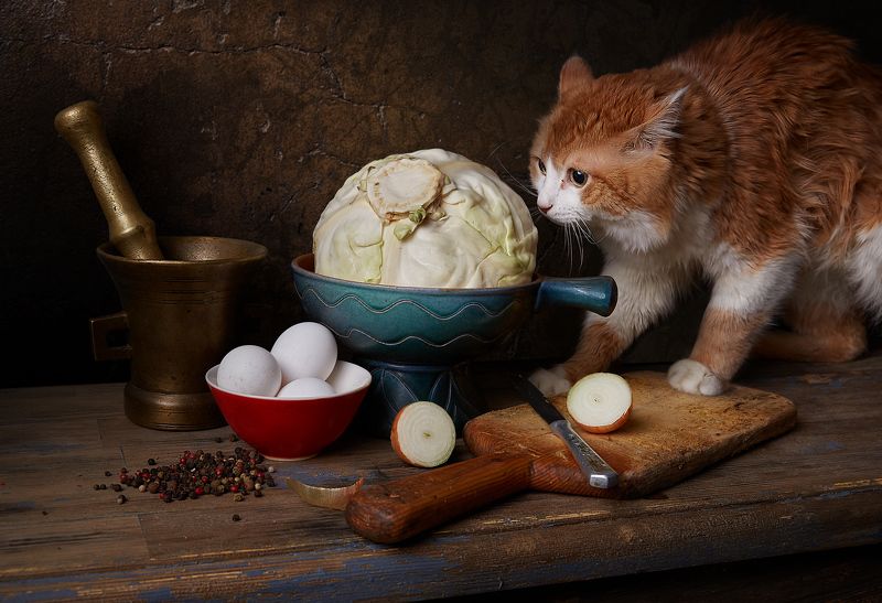 кот, яйцо, капуста лук, кувшин, лимон, нож, сковорода, натюрморт, \