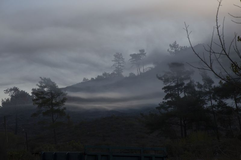 Раннее утроphoto preview