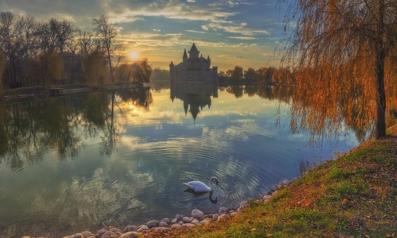 Лебединая осеньphoto preview