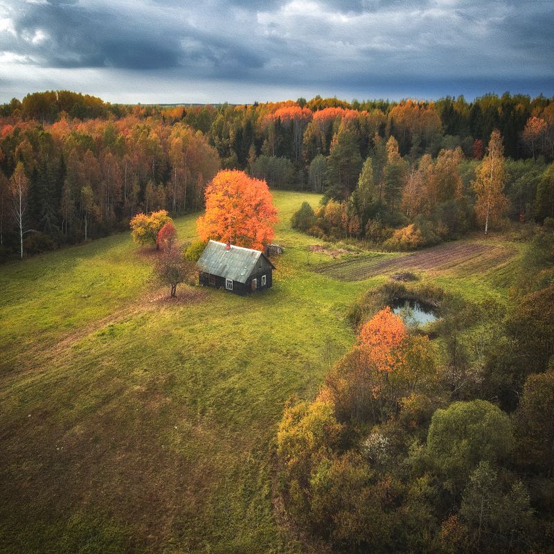 landscape,autumn,village,nature,trees Latvian autumn???photo preview