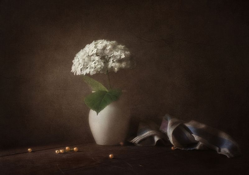 Гортензия и тишинаphoto preview