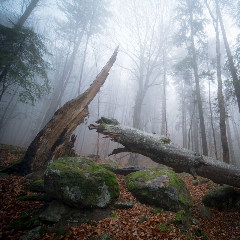 Мъглива Витоша IIphoto preview