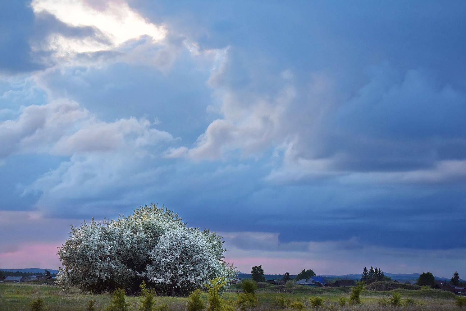 весна, пейзаж, яблоня в цвету, небо, тучи, челябинская область, Александр Степочкин