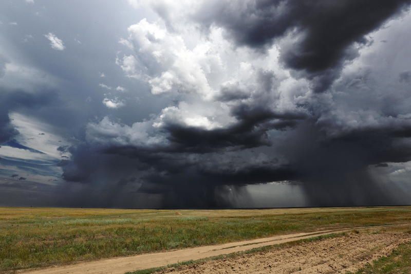 Сила природыphoto preview