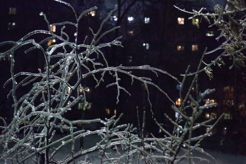 Ледяной дождьphoto preview