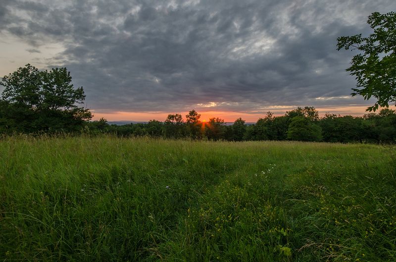 лето, вечер, закат, поляна photo preview