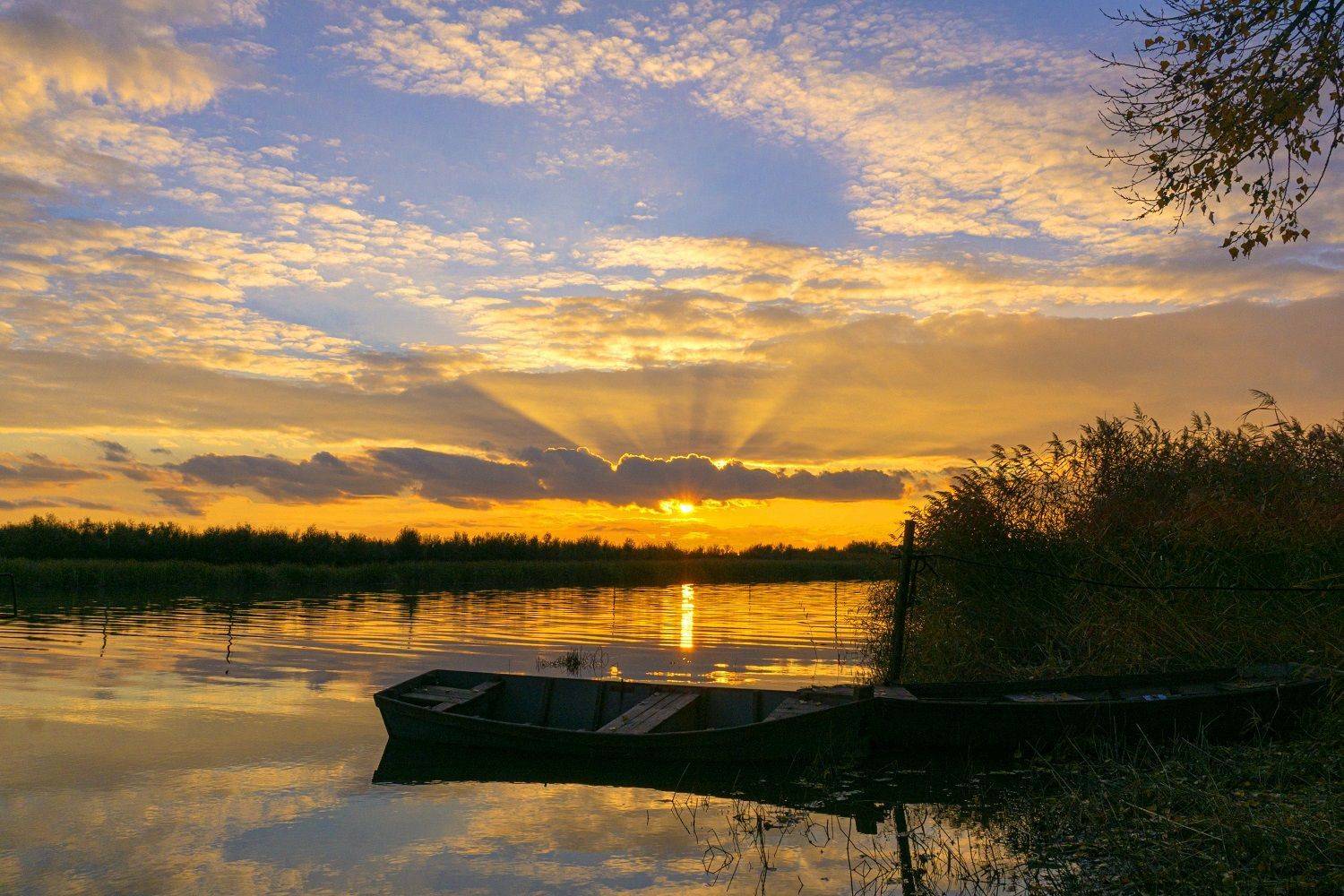 , Марина Соколова