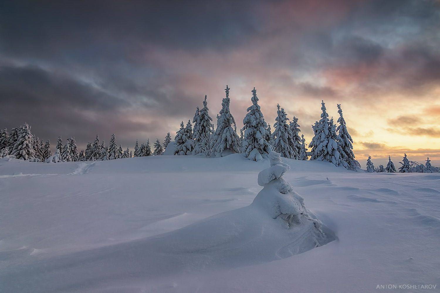 Автор: Антон Кошетаров , Антон Кошетаров