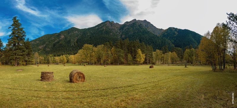 Тебердинский заказник, архыз, Карачаево-Черкессия, осень, поле, луг, горы, тур, отдых, экскурсия, путешествие, достопримечательность, пейзаж, природа, кавказ, панорама, Ранняя осень в Архызе. Тебердинский заказник. Карачаево-Черкессия. Кавказ фото превью