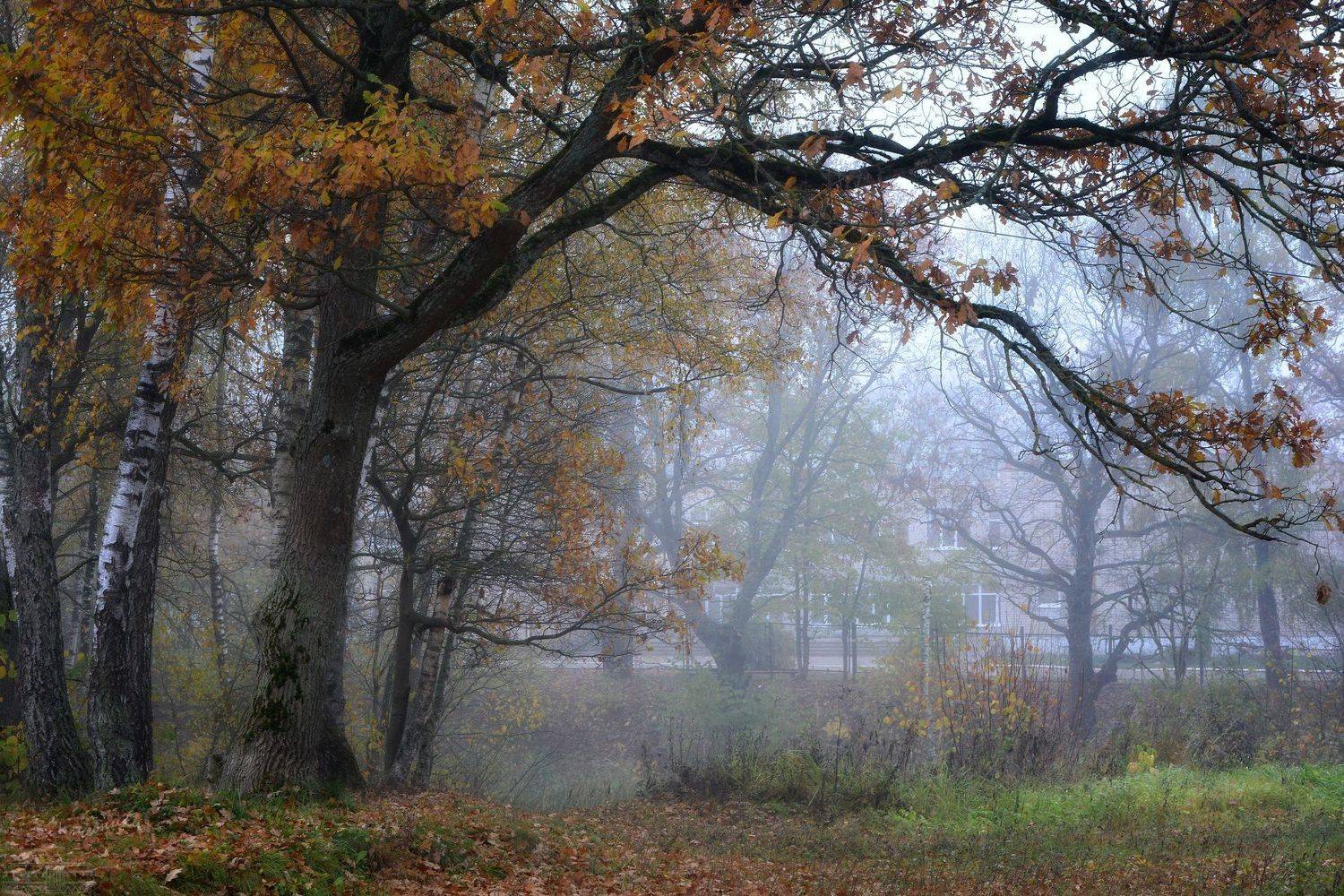 Вековое спокойствие. Автор: Юлия Абрамова , Юлия Абрамова