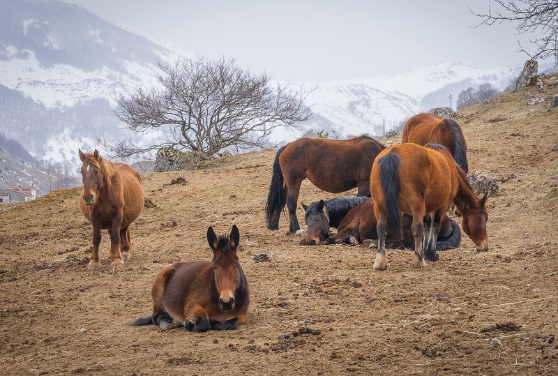 Зимой в горах, Абруццо, Италияphoto preview