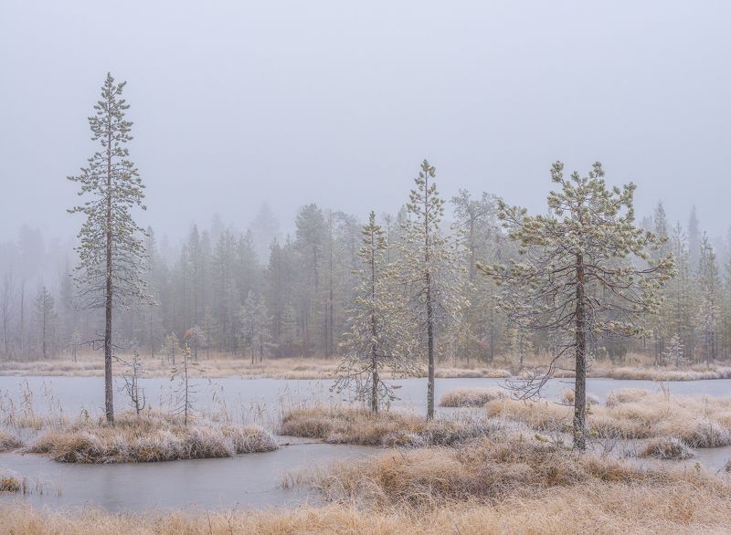 север, кольский, хибины, заполярье, ***photo preview