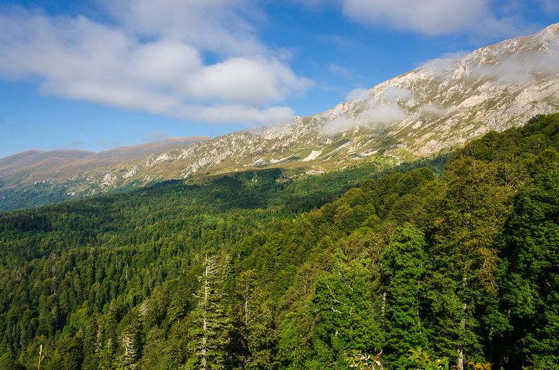 горы, мессо, майкопский перевал, осень photo preview