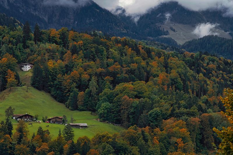 Осенние мотивыphoto preview