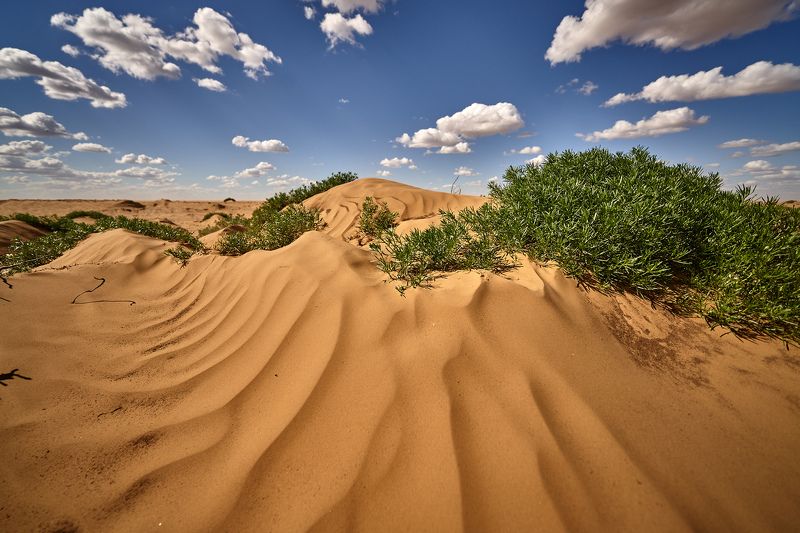 Portfoliophoto preview