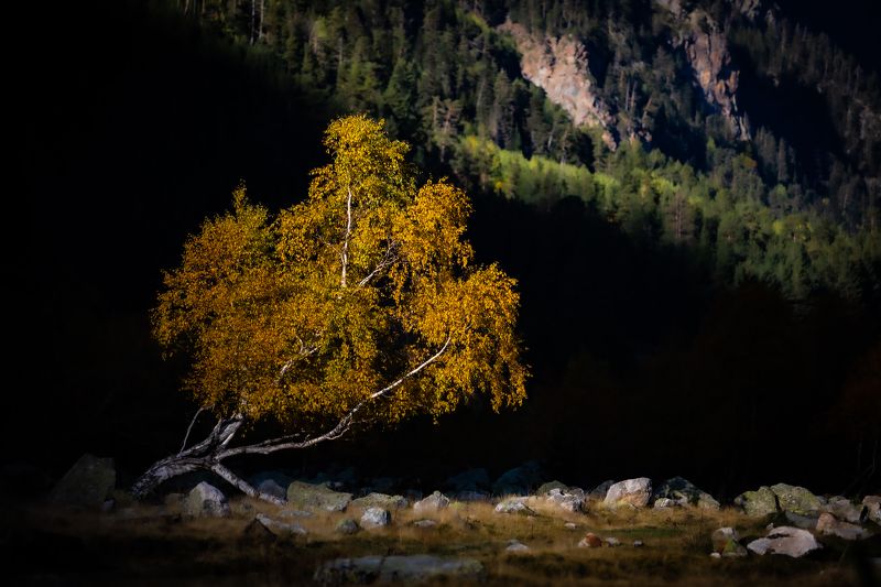 На краю света...photo preview