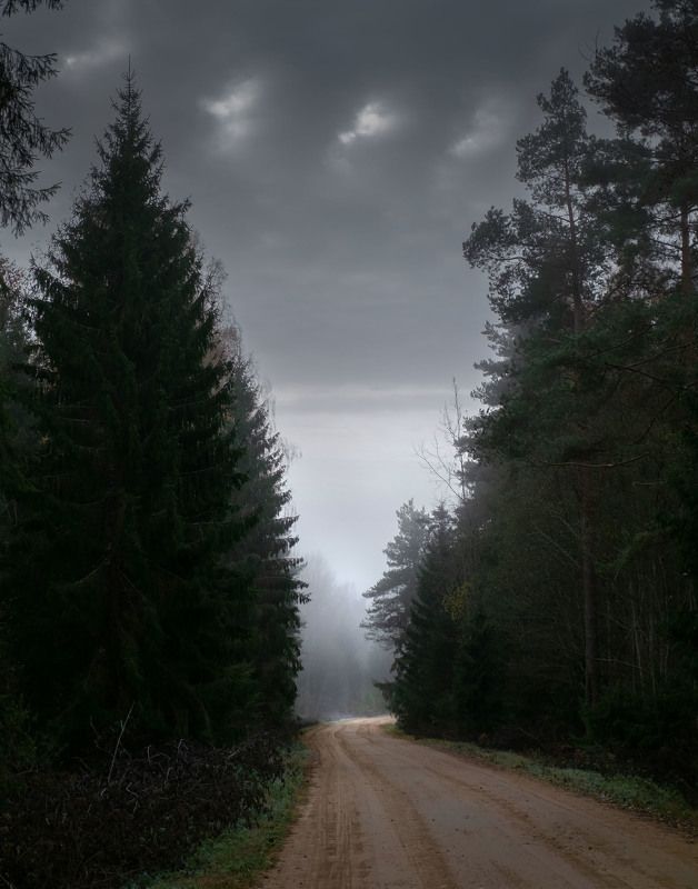 п. усвяты псковской области, дорога, утро, туман По дороге в Усвяты... фото превью