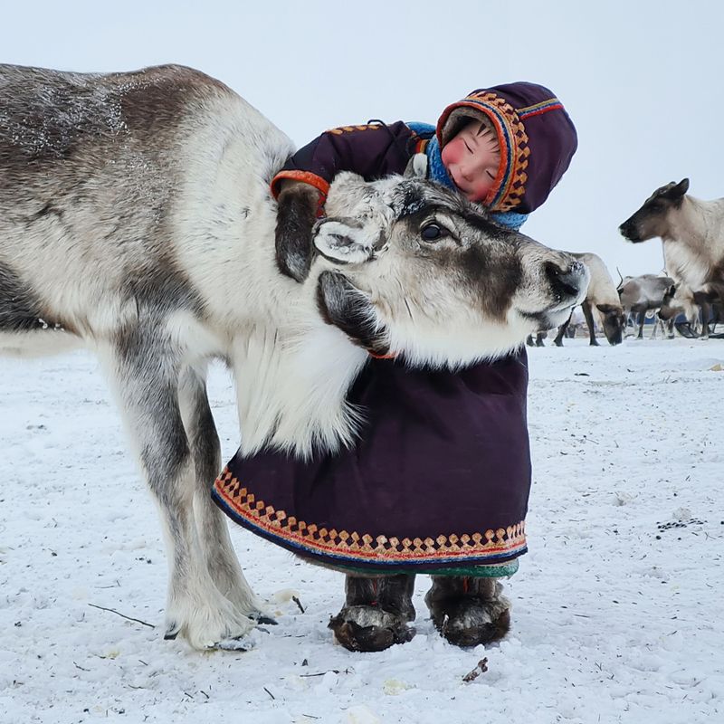 Ямалphoto preview