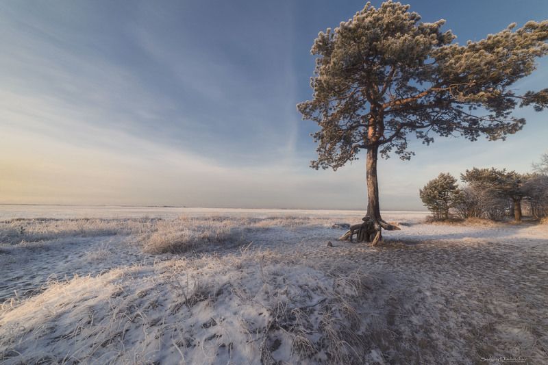 Утроphoto preview