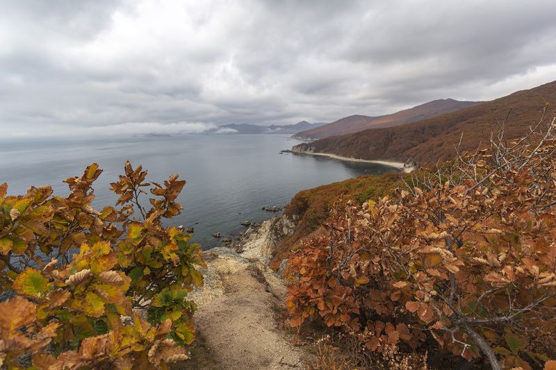 Берег, море, осень photo preview