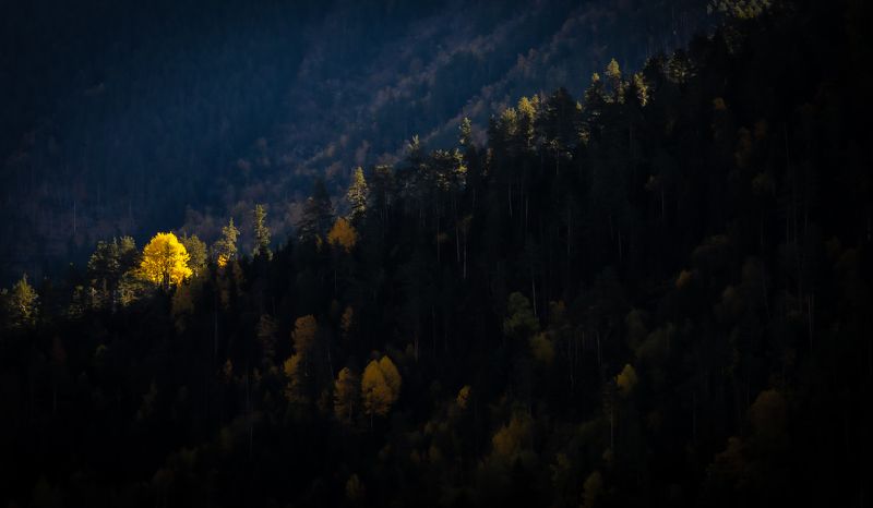 Свет пошёл!photo preview