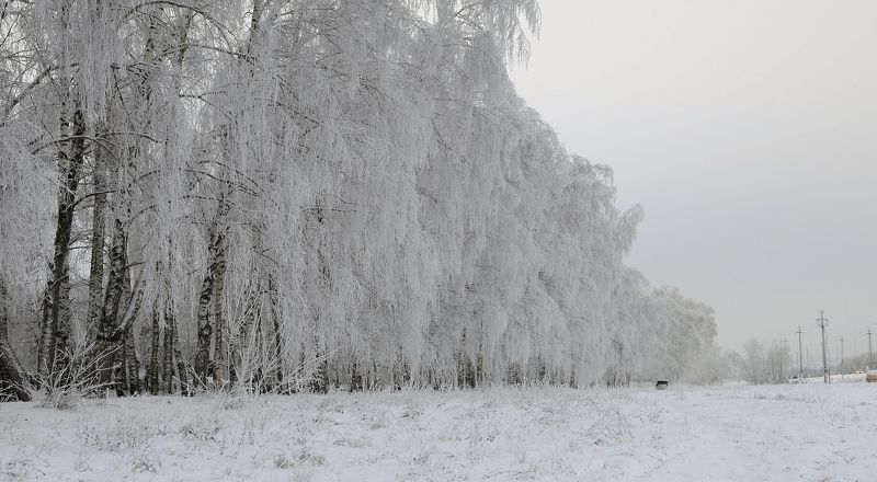 Без Солнцаphoto preview