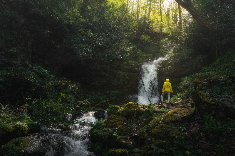 waterfall, environmental, landscapes, nature, Georgia Machakhela natonal park, Georgia.photo preview