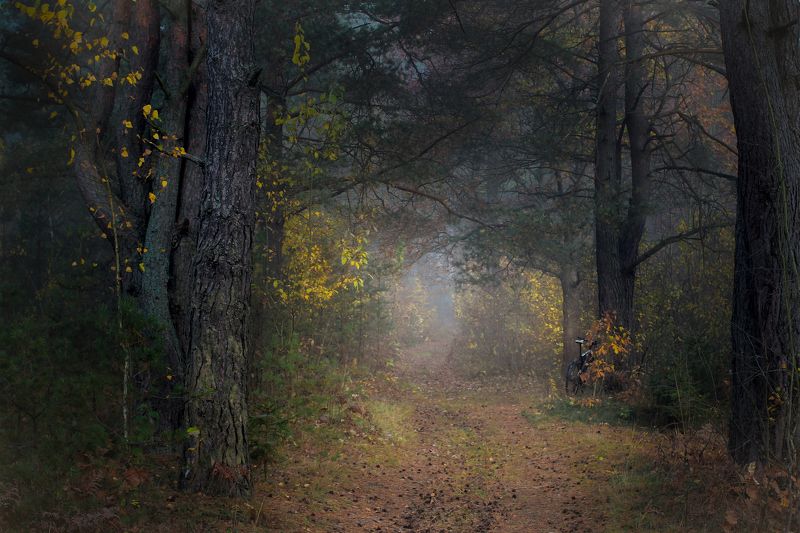 ********photo preview