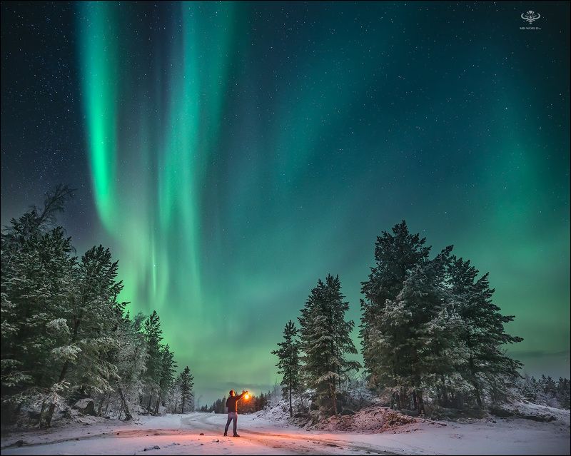 Магия северного небаphoto preview